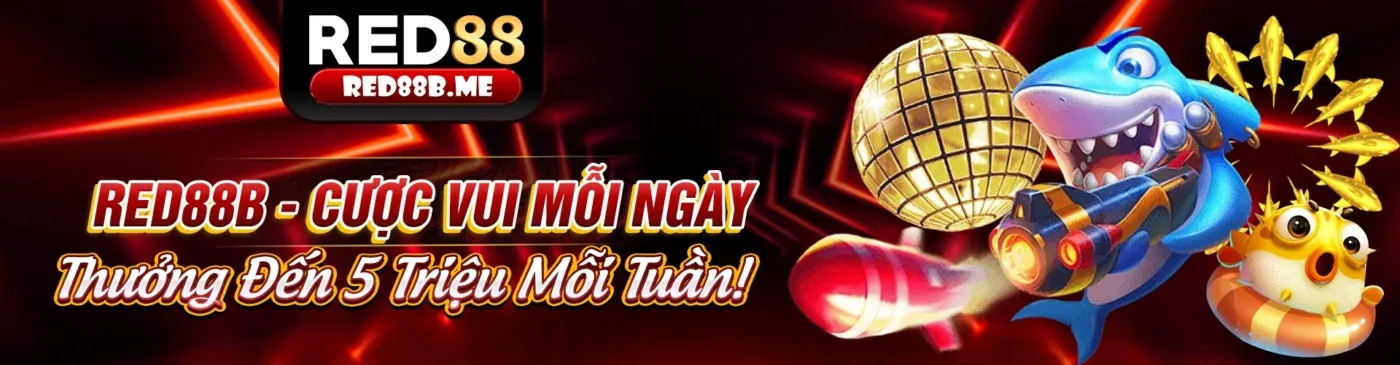 Giao diện cá cược trực tiếp qh8